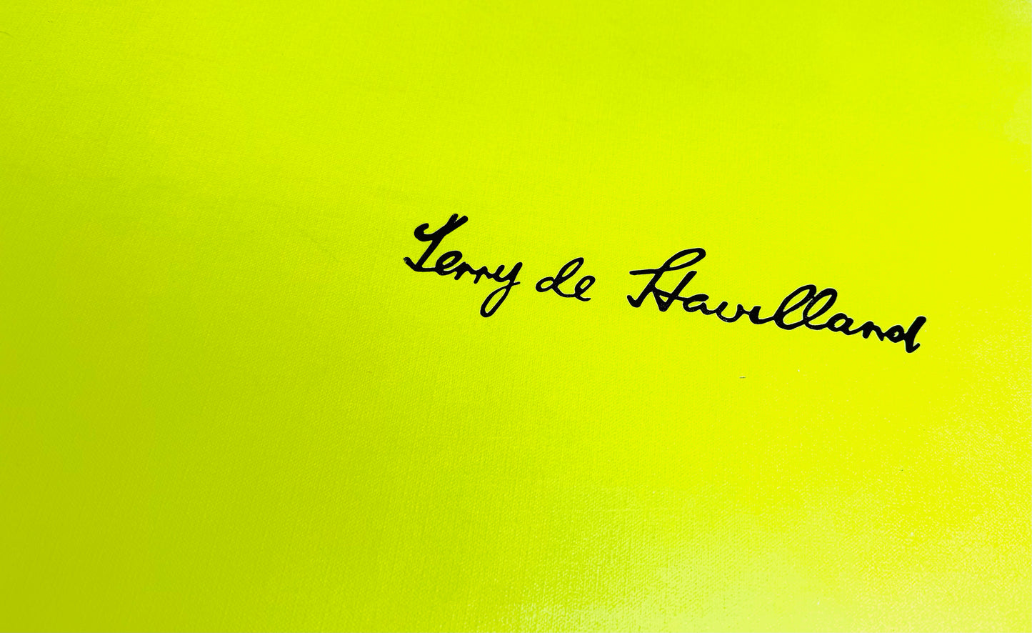 Terry De Havilland “River” Full Length Boots size 7