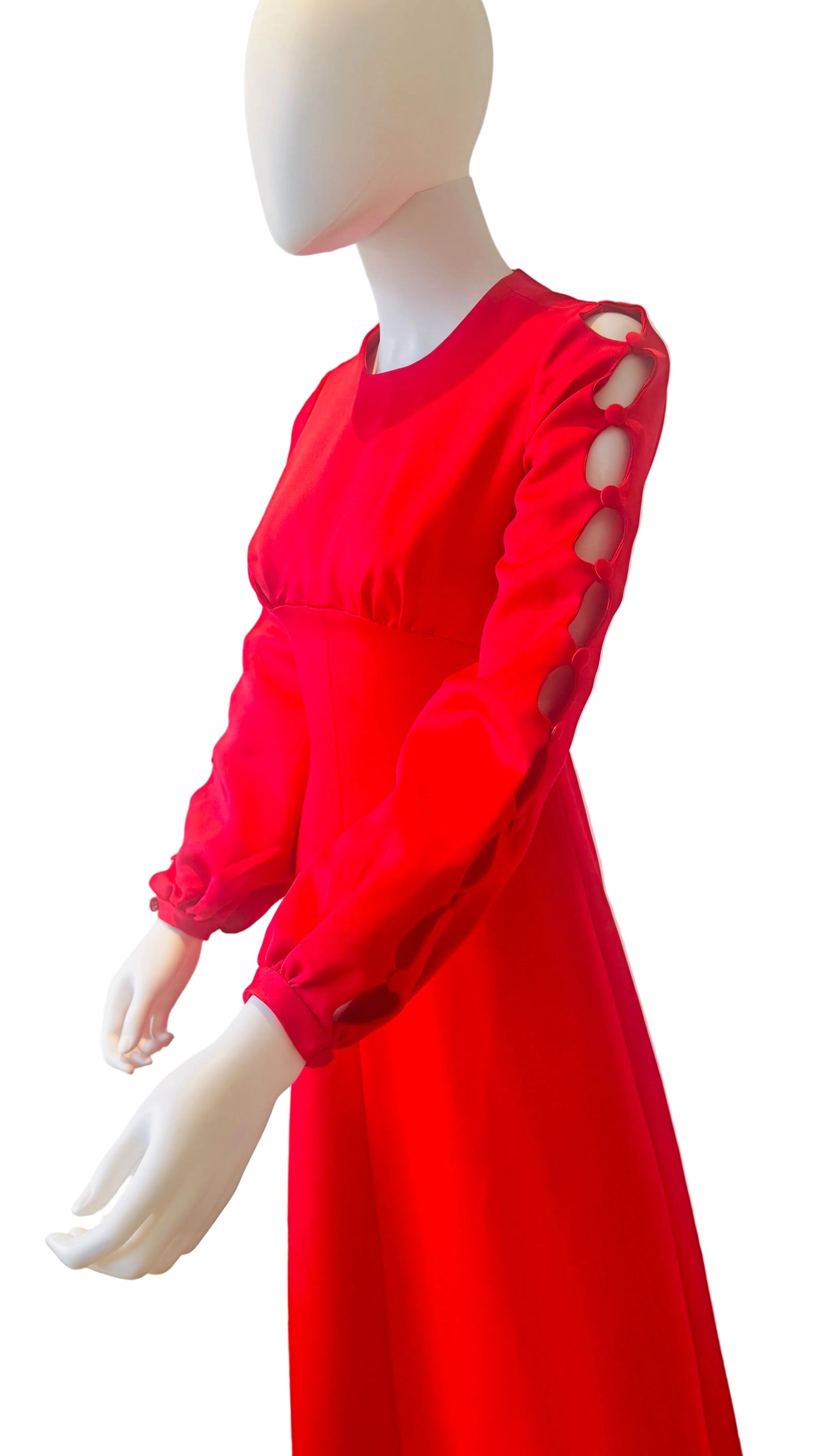 1970’s Stunning Maxi Dress