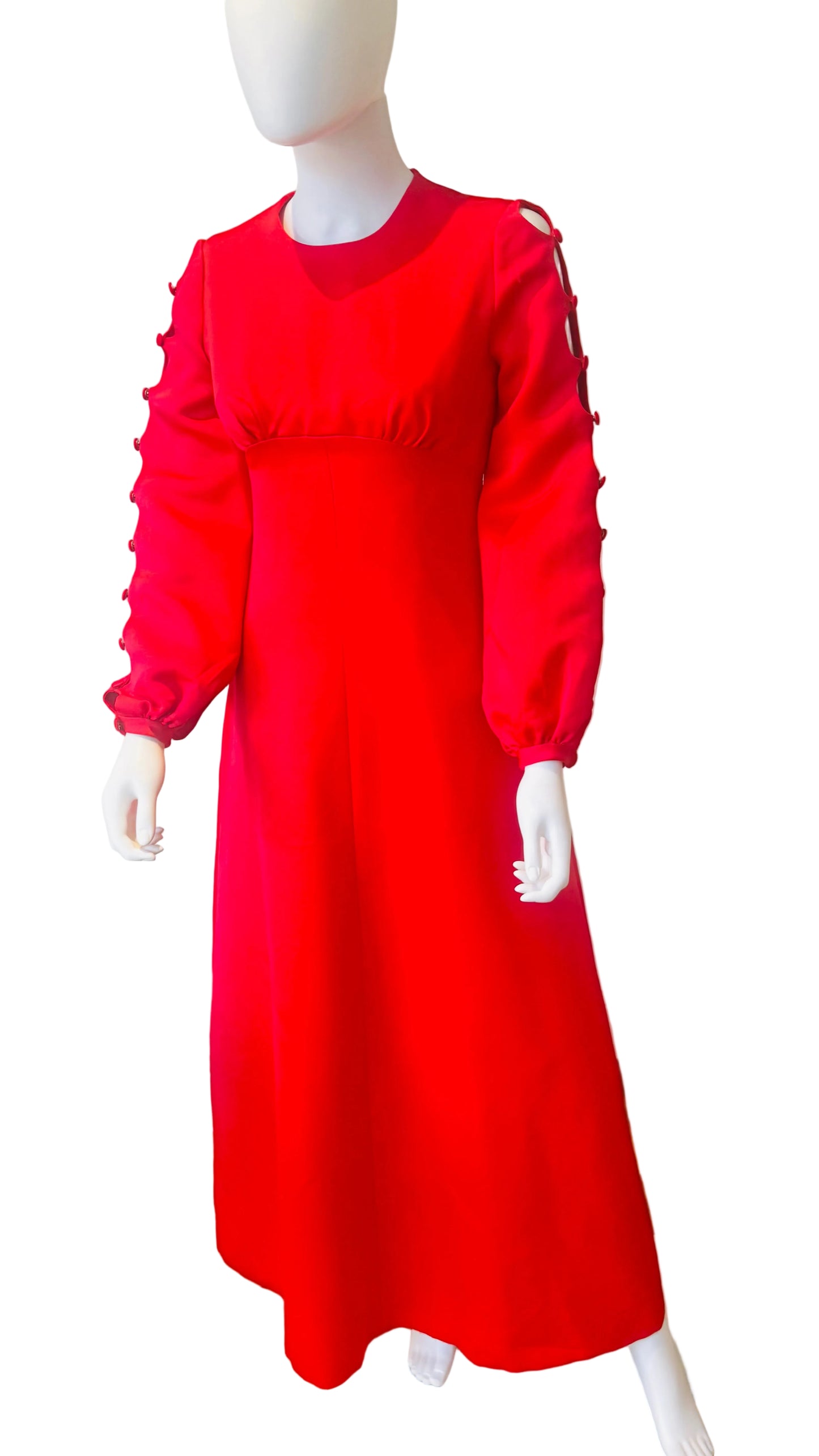 1970’s Stunning Maxi Dress