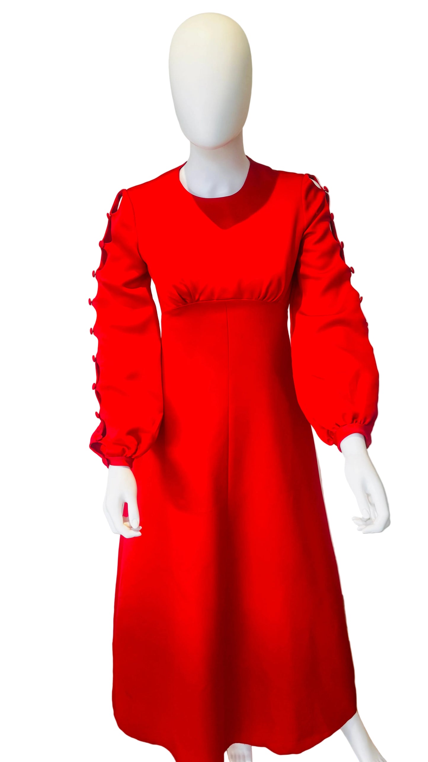 1970’s Stunning Maxi Dress